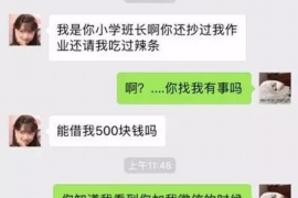 咸阳咸阳的要账公司在催收过程中的策略和技巧有哪些？